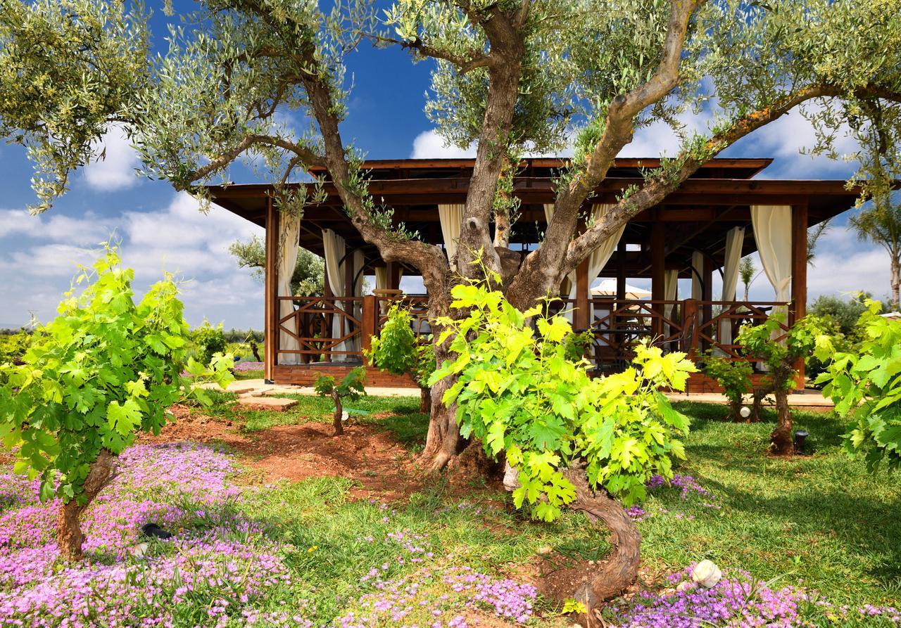 Chateau Roslane Boutique Hotel & Spa 메크네스 외부 사진